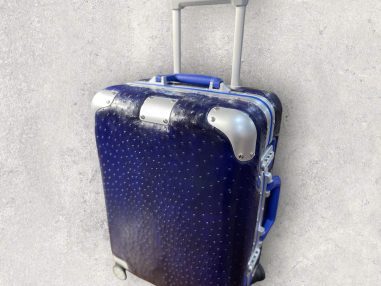 Hakiki Devekuşu Derisi El Yapımı Bavul